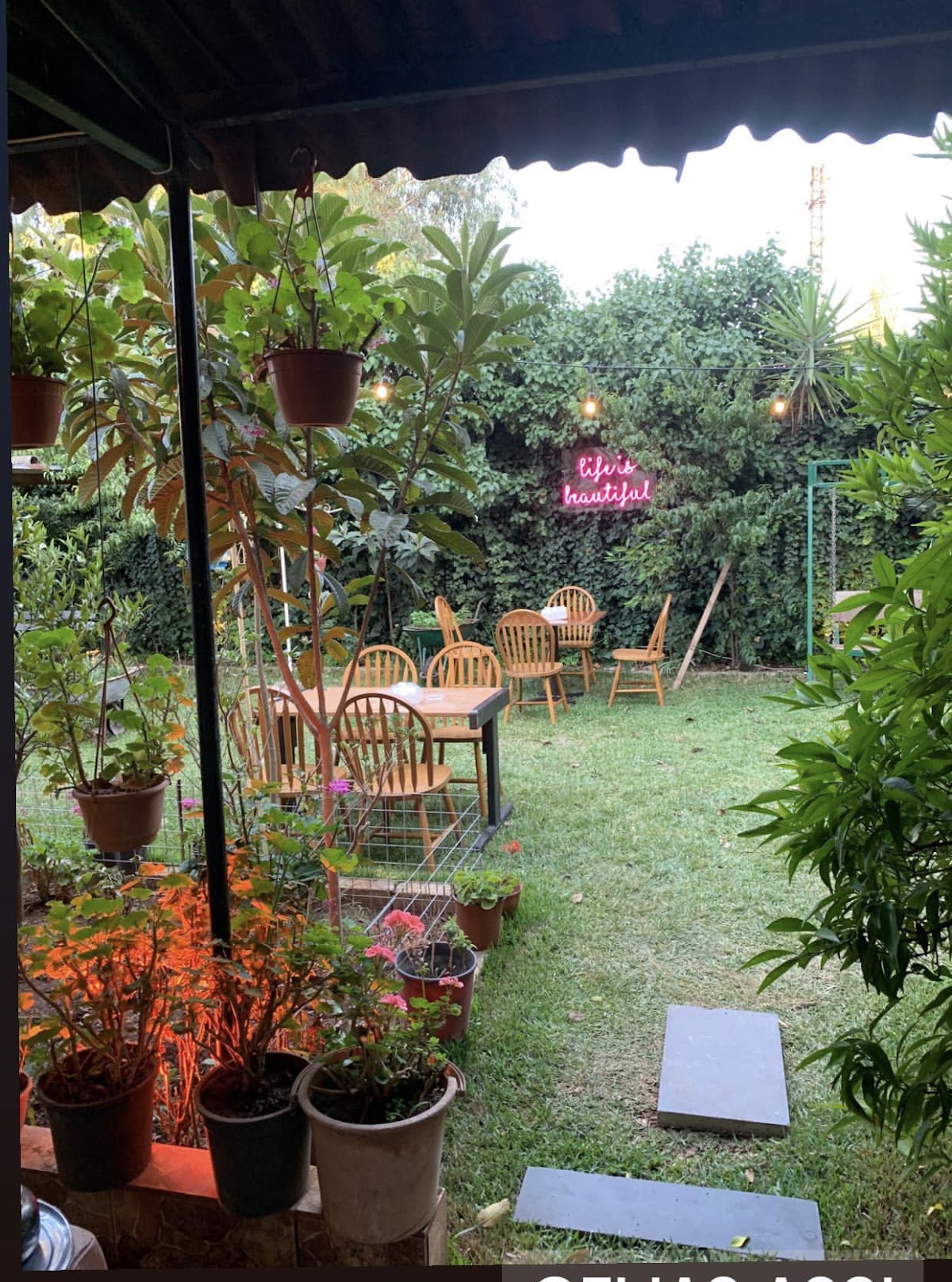 Lost Garden — photograph 5
