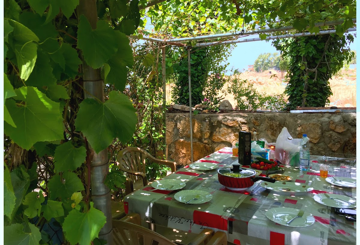 La plaine Guesthouse — photograph 6