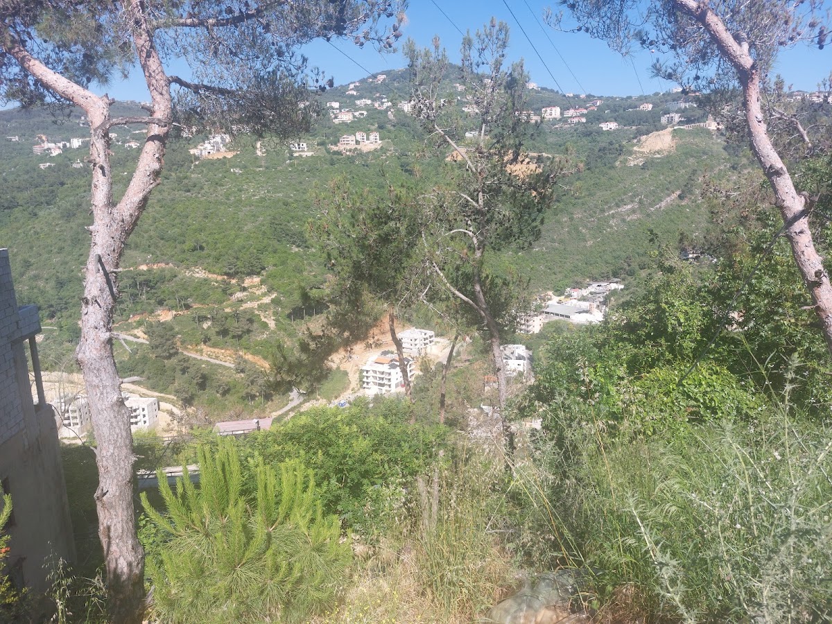 Mataam Zahr Al Louz