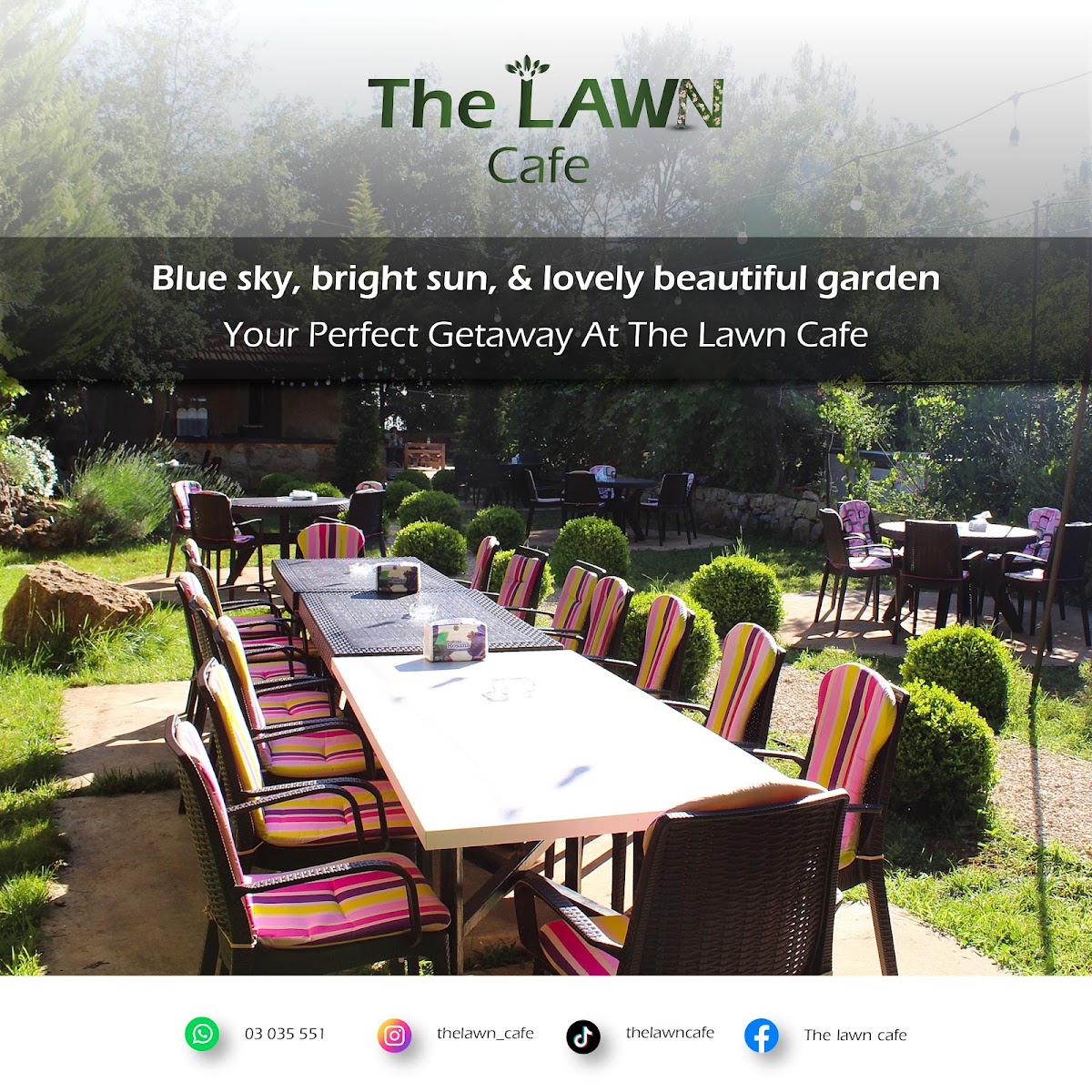 The lawn cafe