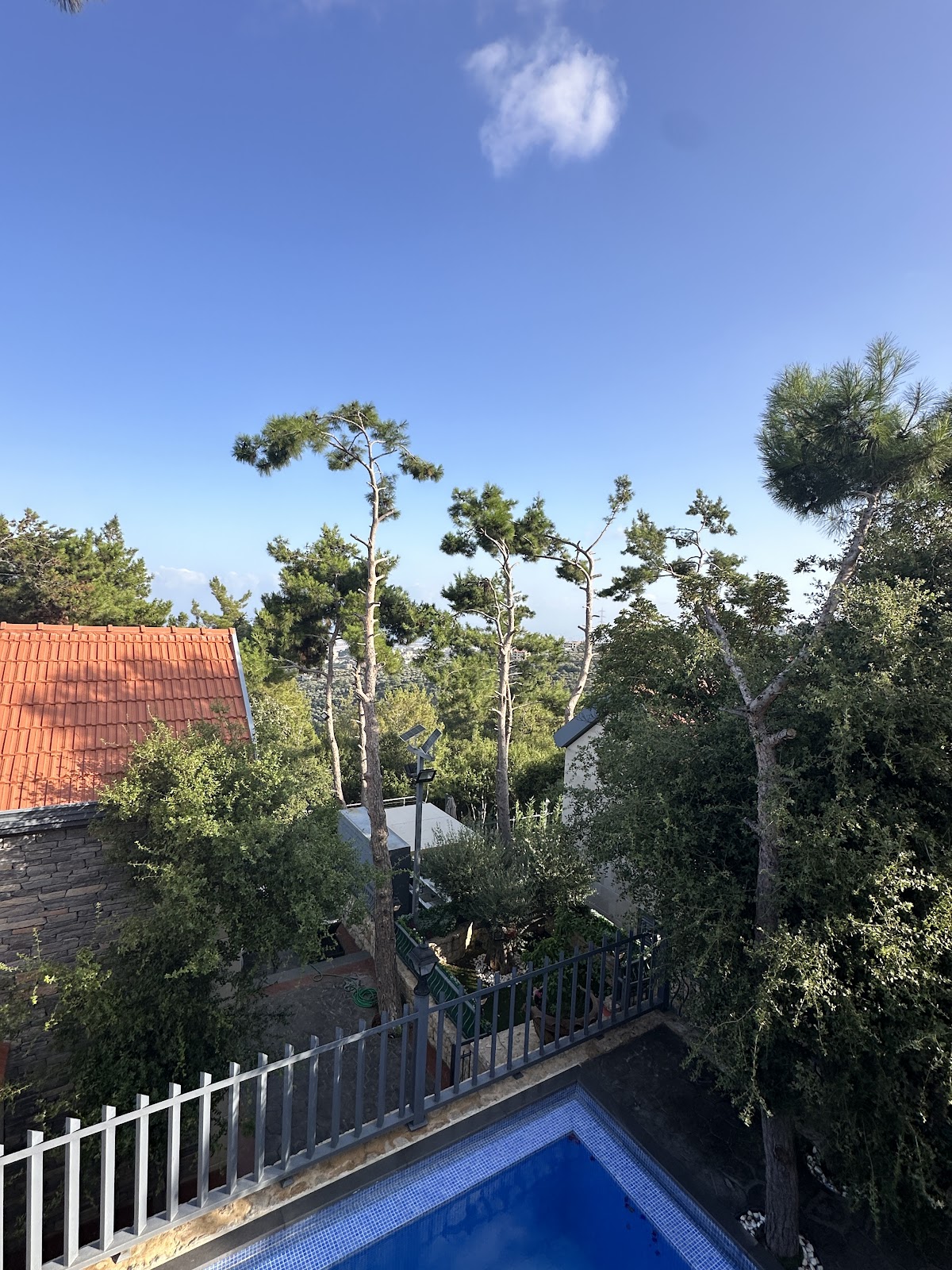Bustan Al Sukkar — photograph 3
