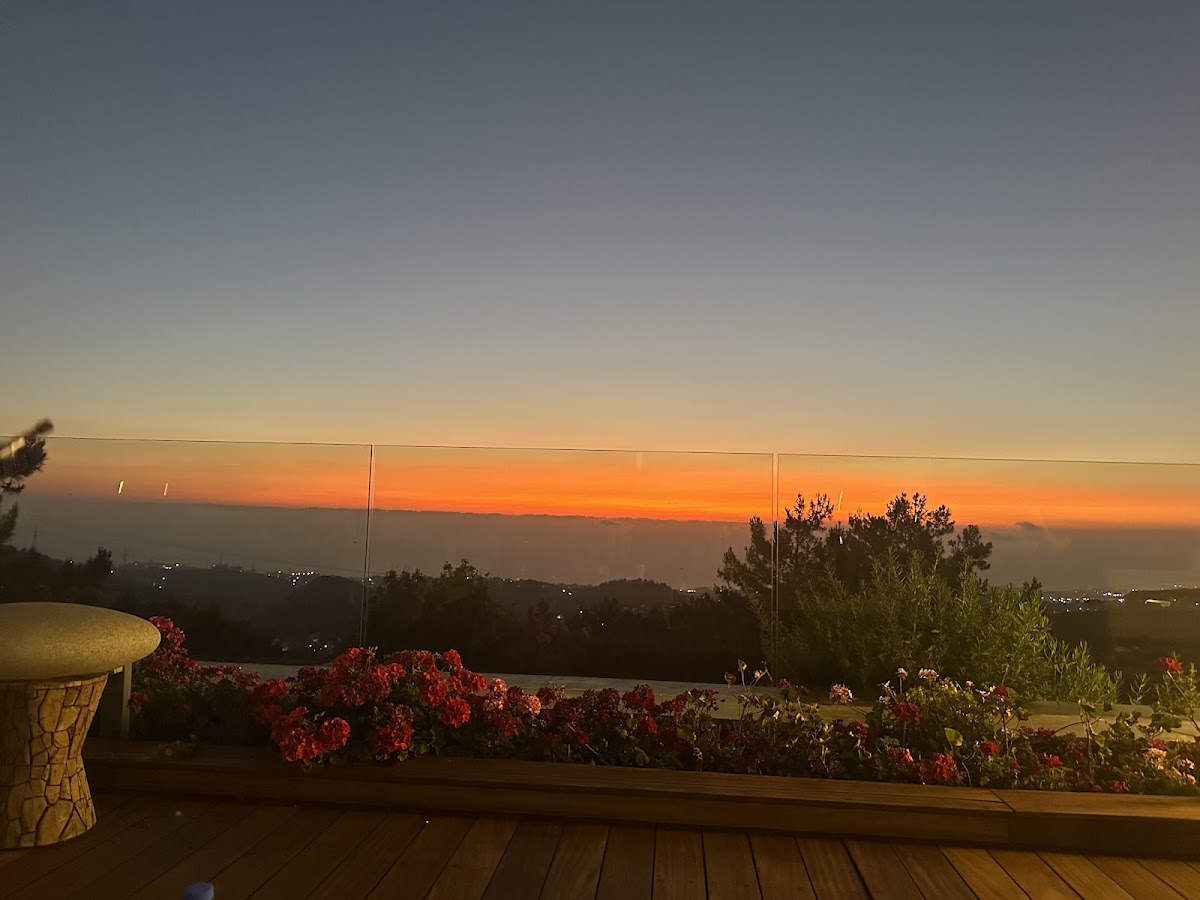 Bustan Al Sukkar — photograph 4