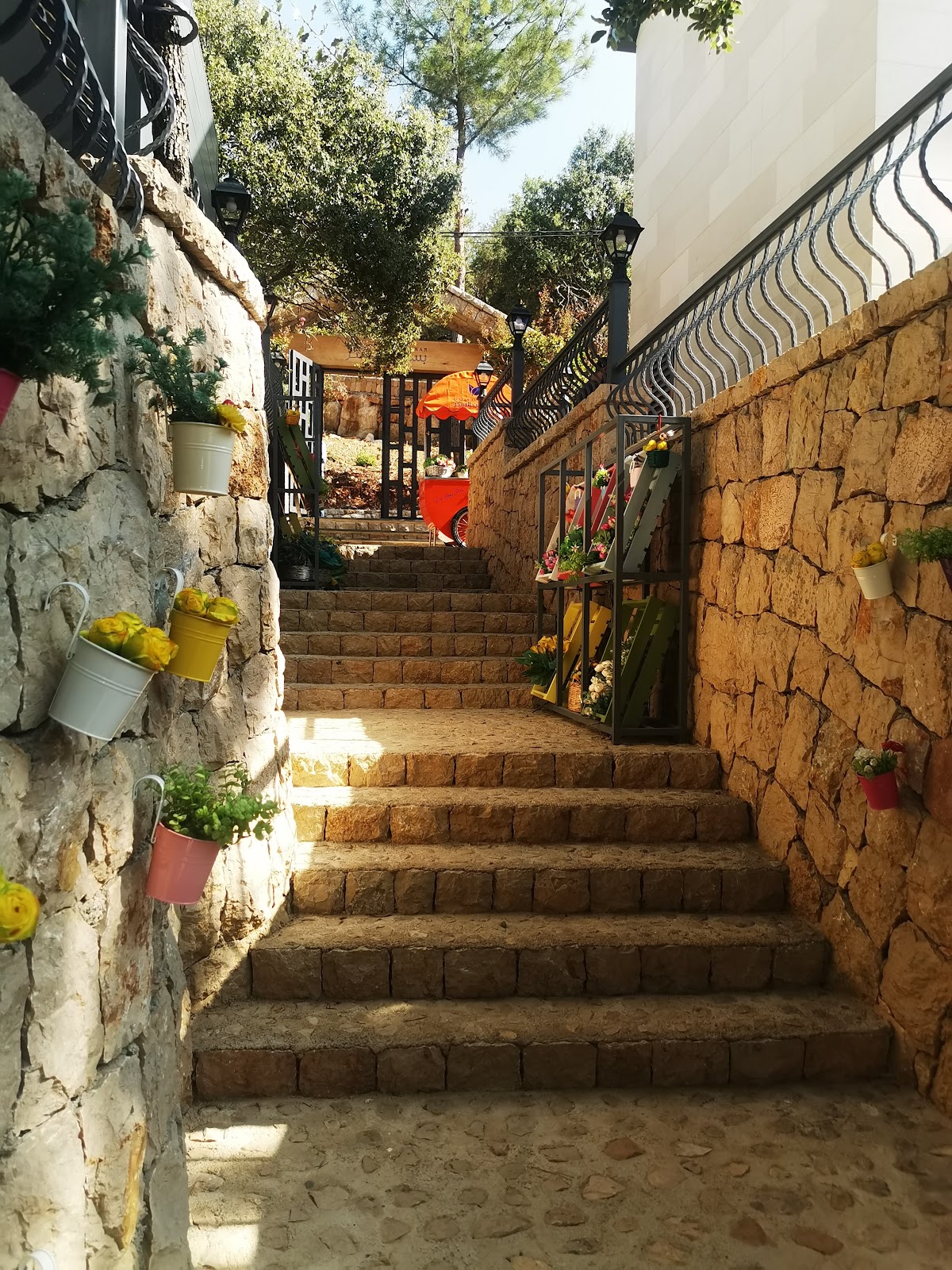 Bustan Al Sukkar — photograph 6