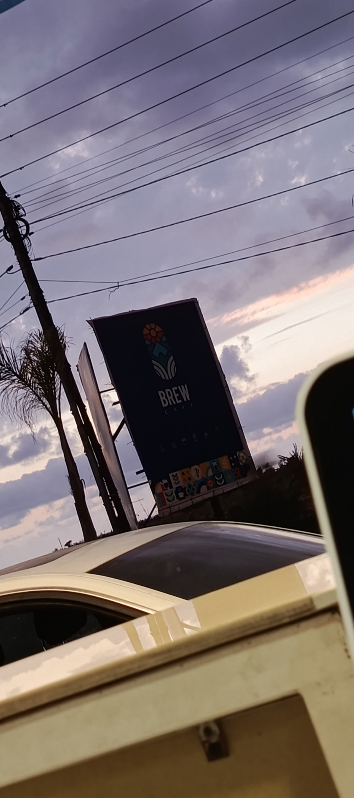 brew — photograph 6