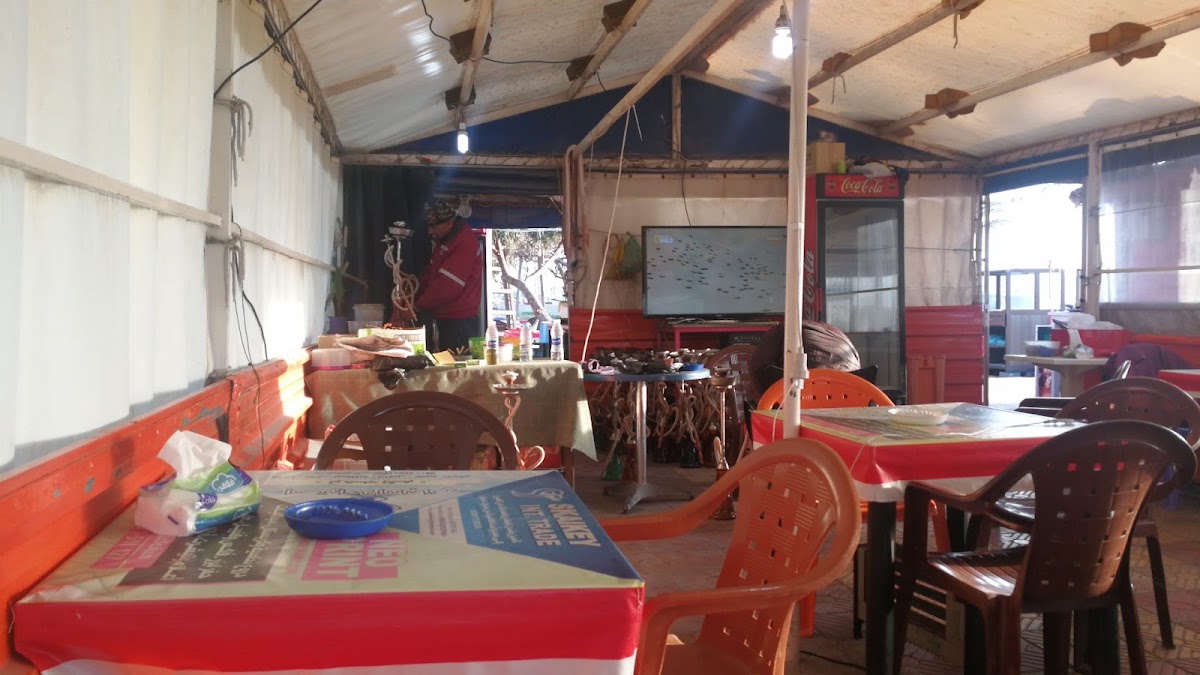 Delbani Cafe — photograph 3