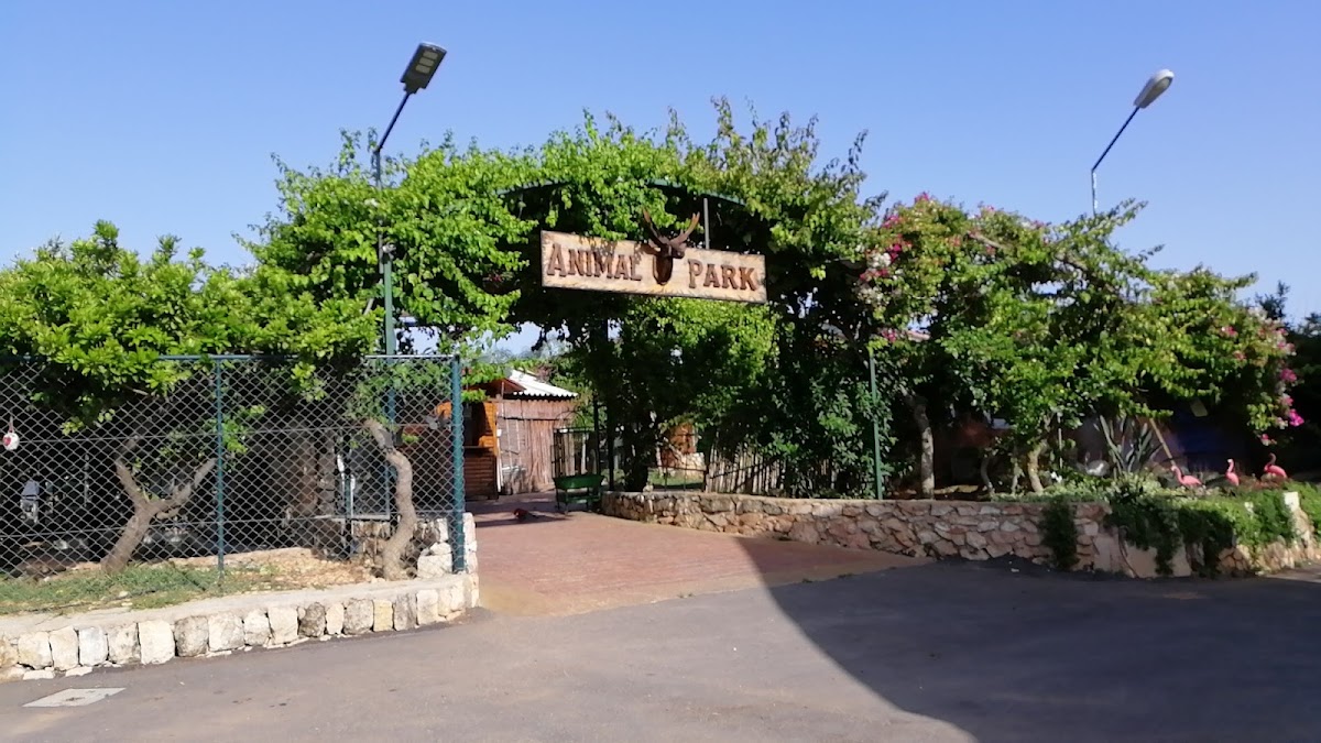 Animal Park — photograph 3