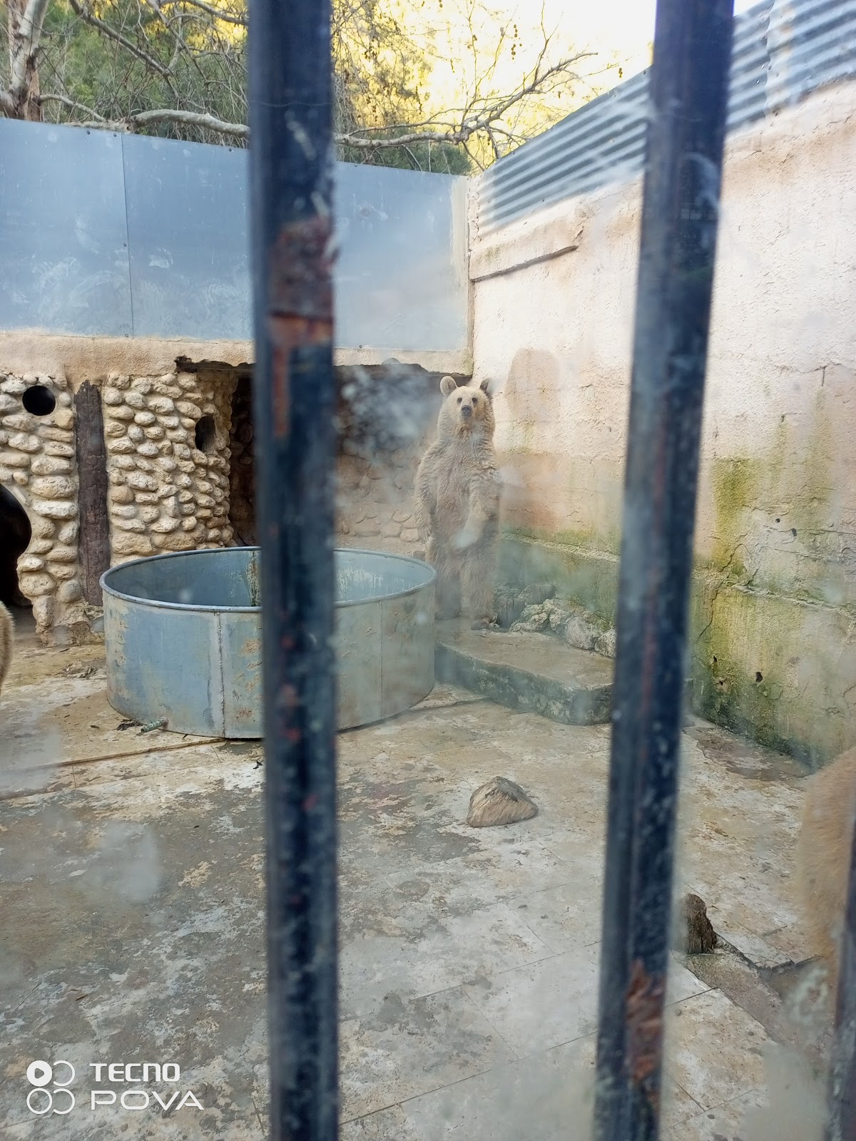 Animal Park — photograph 4