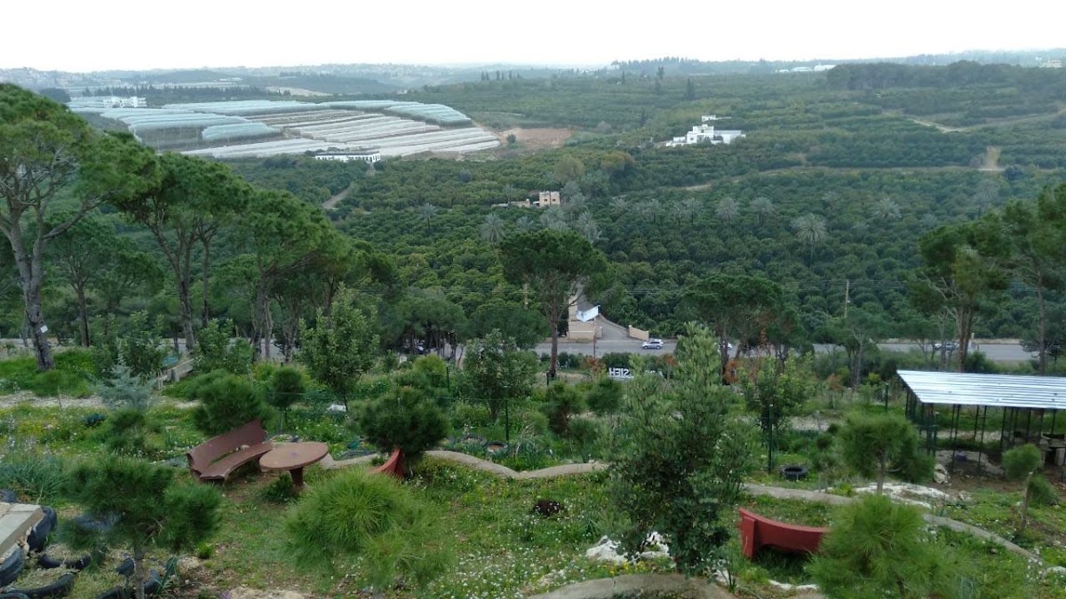 منتزه العباسية — photograph 4