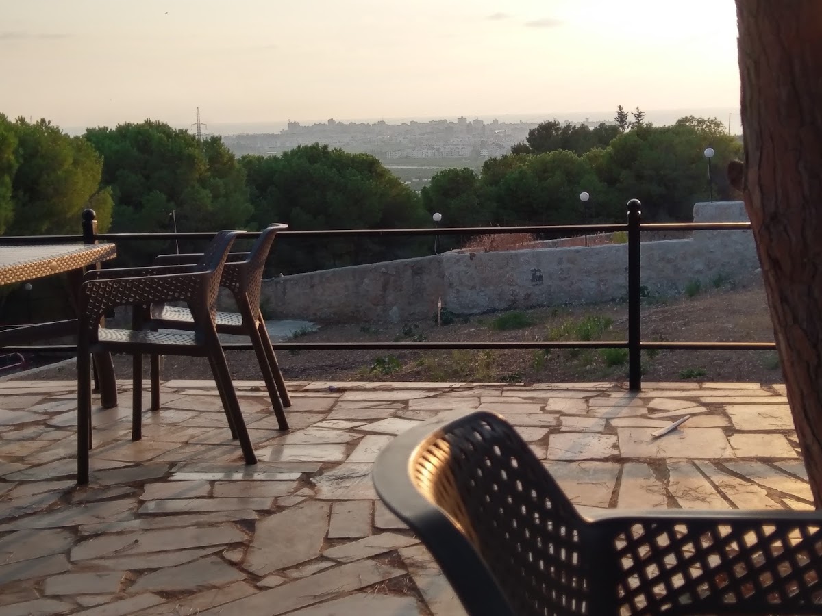 منتزه العباسية — photograph 5