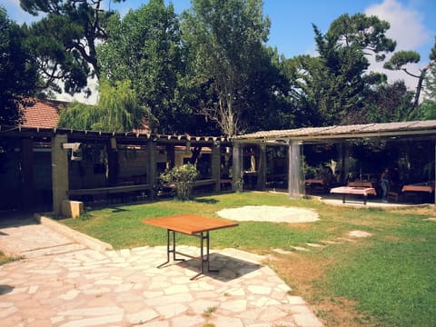 Woodland Venue — photograph 3