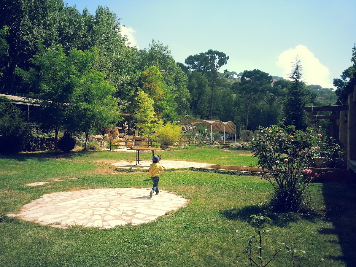 Woodland Venue — photograph 5