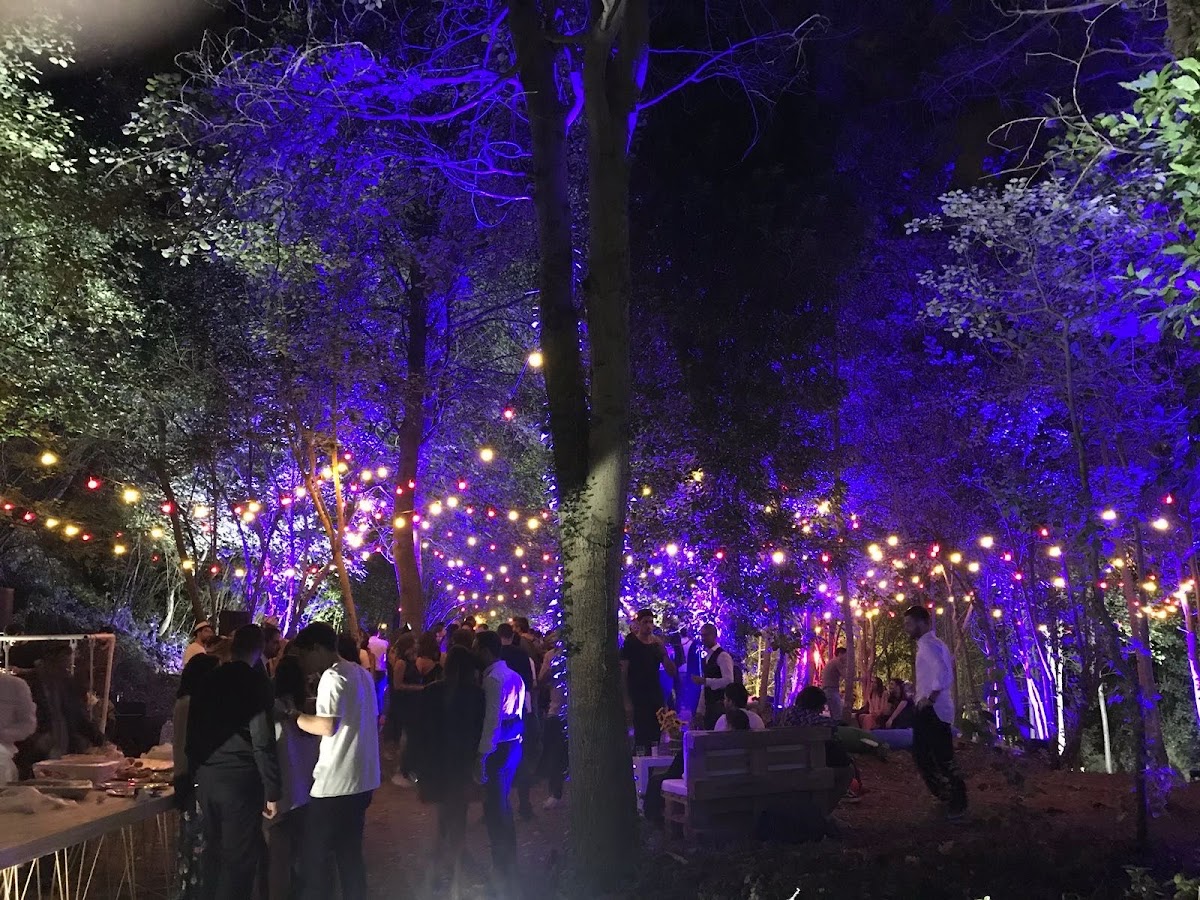 Woodland Venue — photograph 6