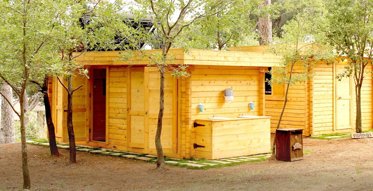 Swings Camp