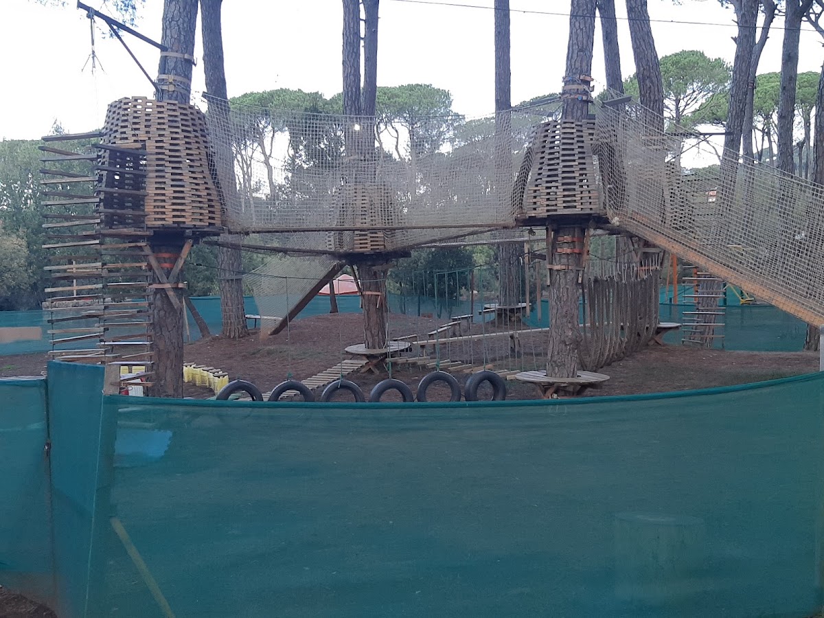 Swings Camp — photograph 2