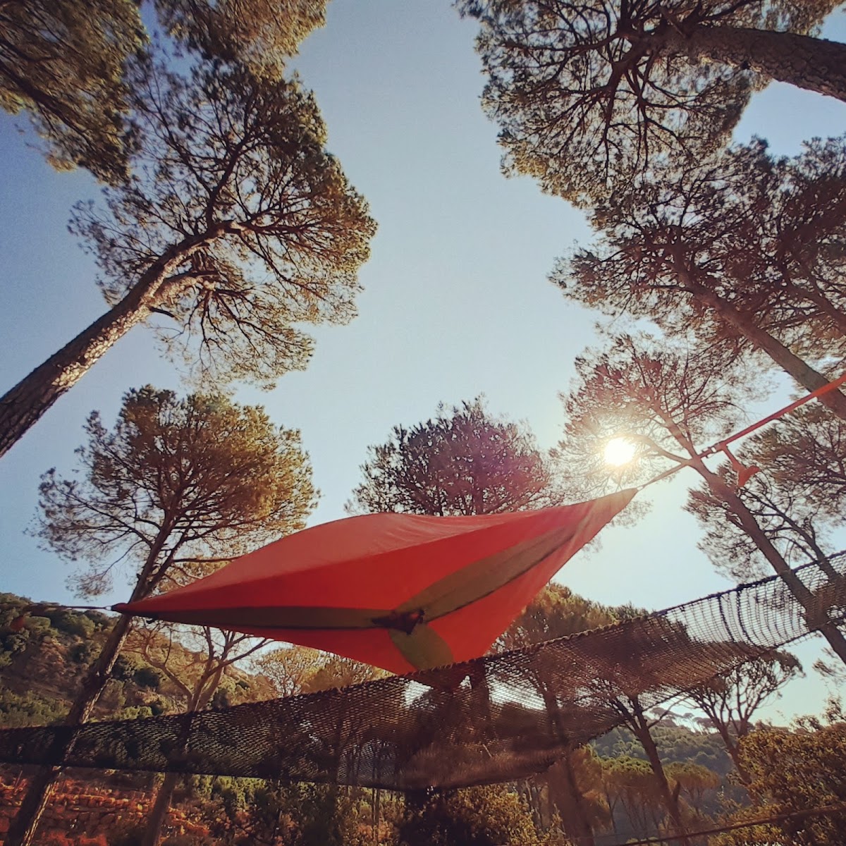 Swings Camp — photograph 4