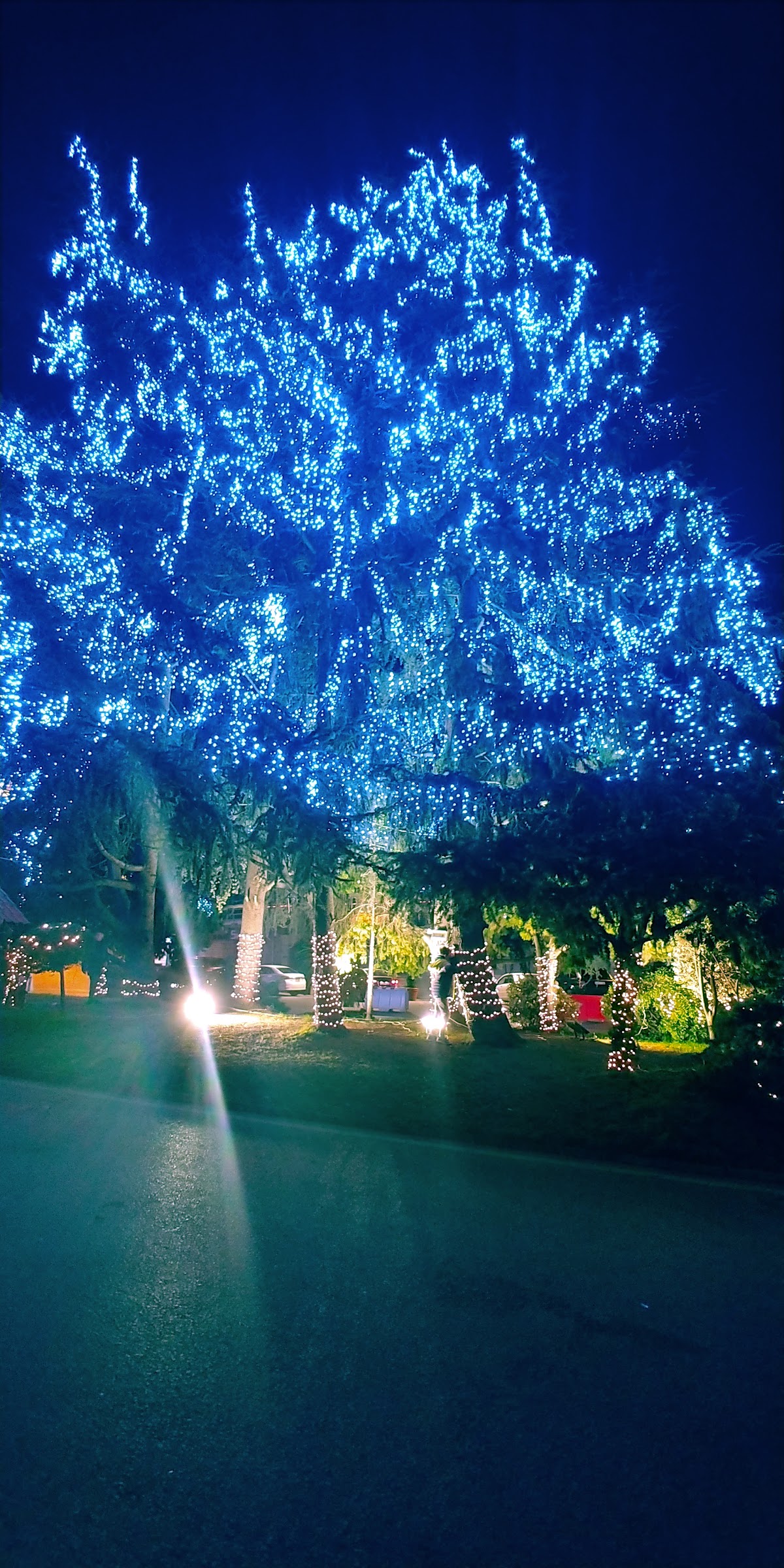 Bikfaya Public Garden — photograph 4