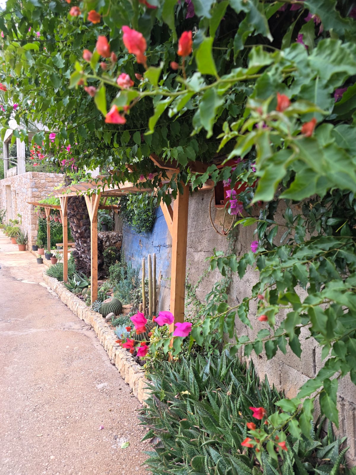 Terracura Farm — photograph 2