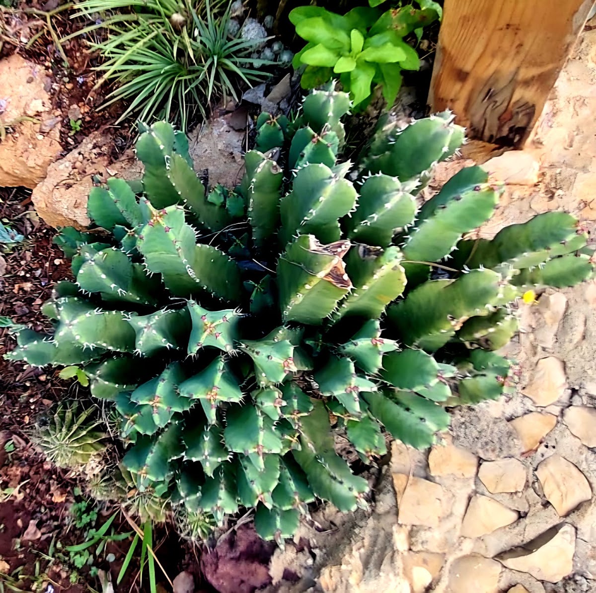 Terracura Farm — photograph 3