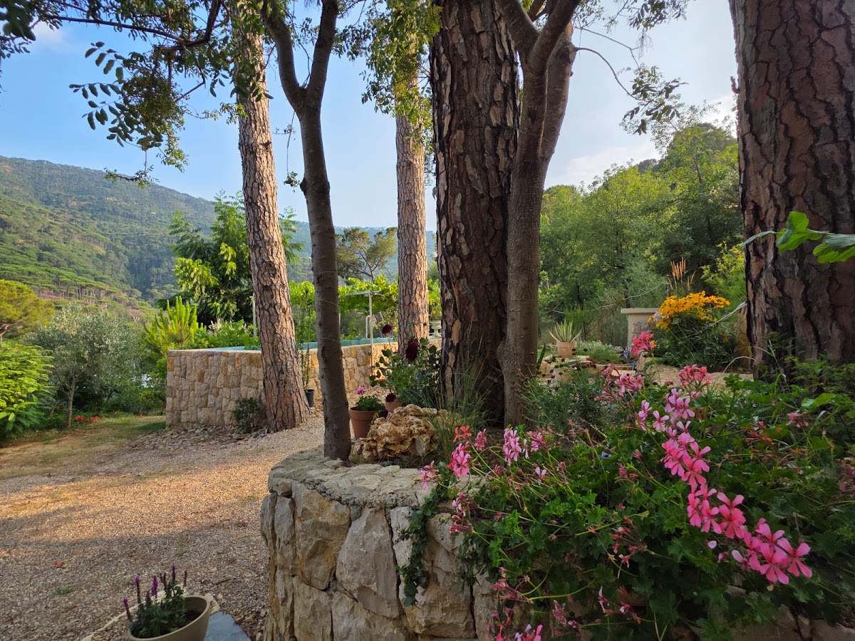 Terracura Farm — photograph 6