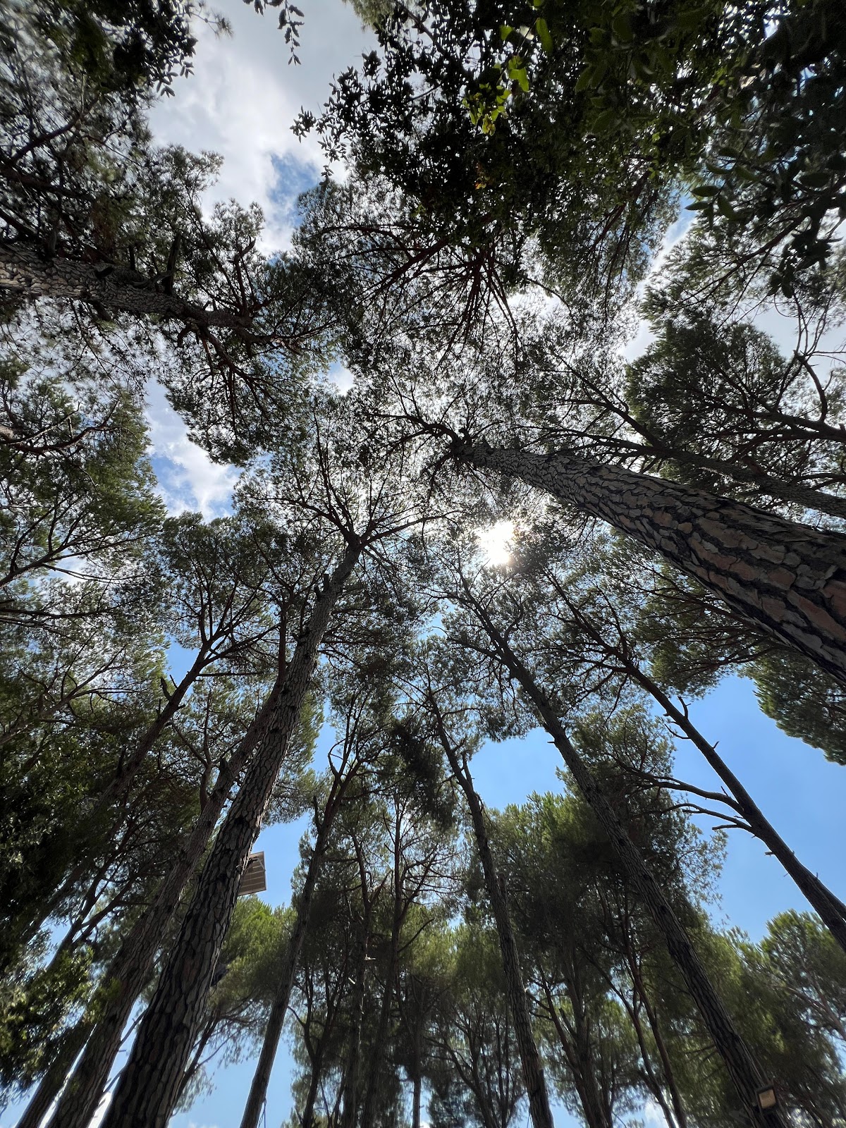 Sharewood Camp — photograph 5