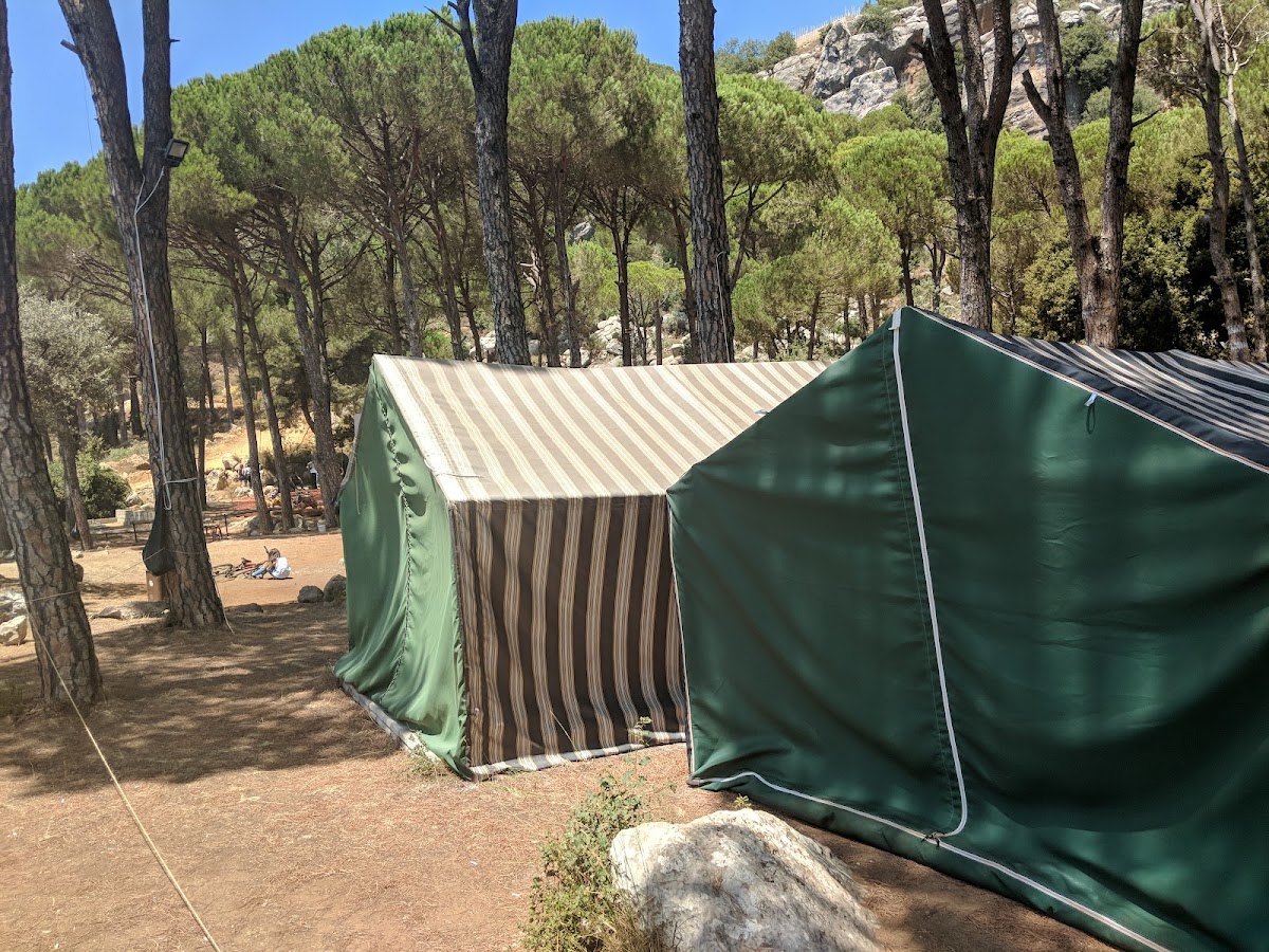 Sharewood Camp — photograph 6