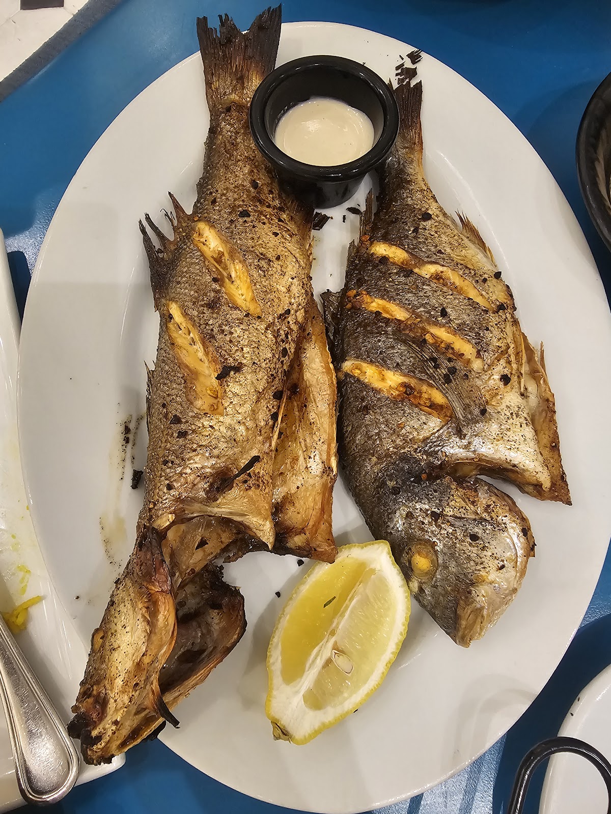 Al Hamour Restaurant — photograph 6