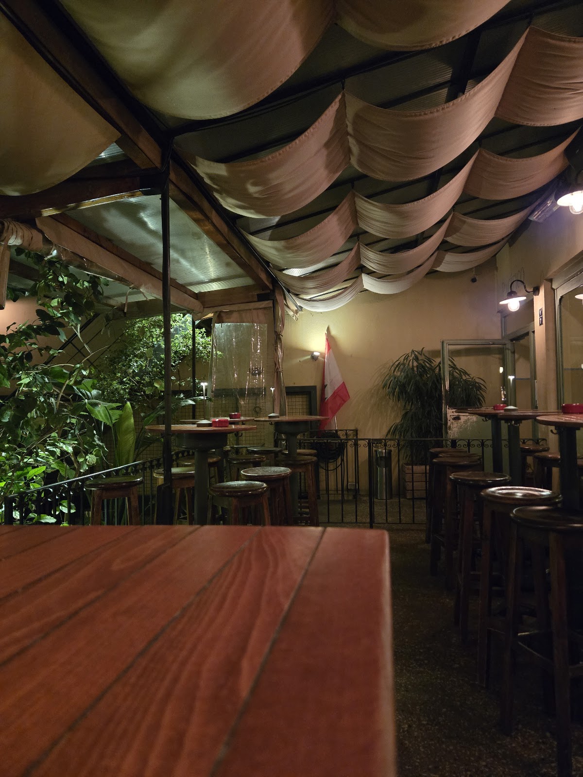 Pacifico — photograph 6