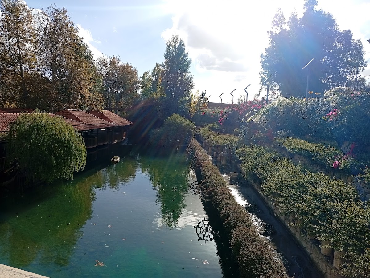 Al Bohsasa Restaurant — photograph 4
