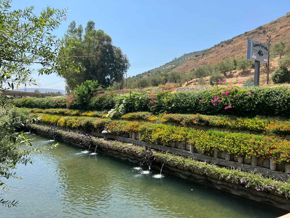 Al Bohsasa Restaurant — photograph 6