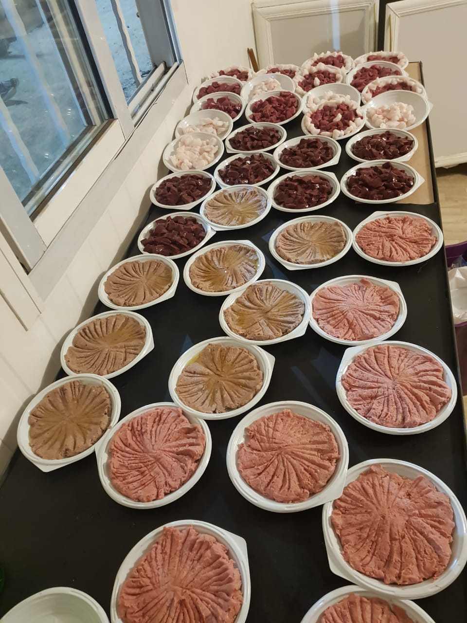 Malhamet Al Fajr — photograph 3