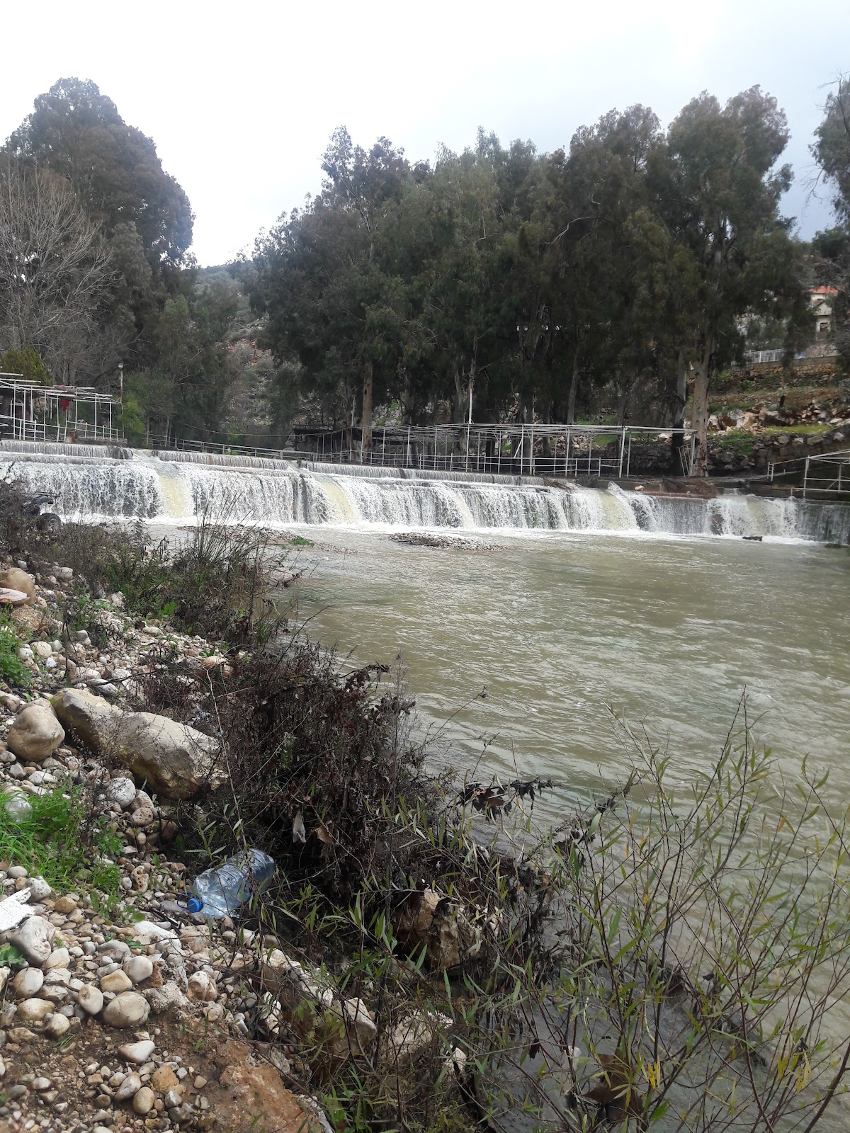 Hasbaya village club — photograph 6