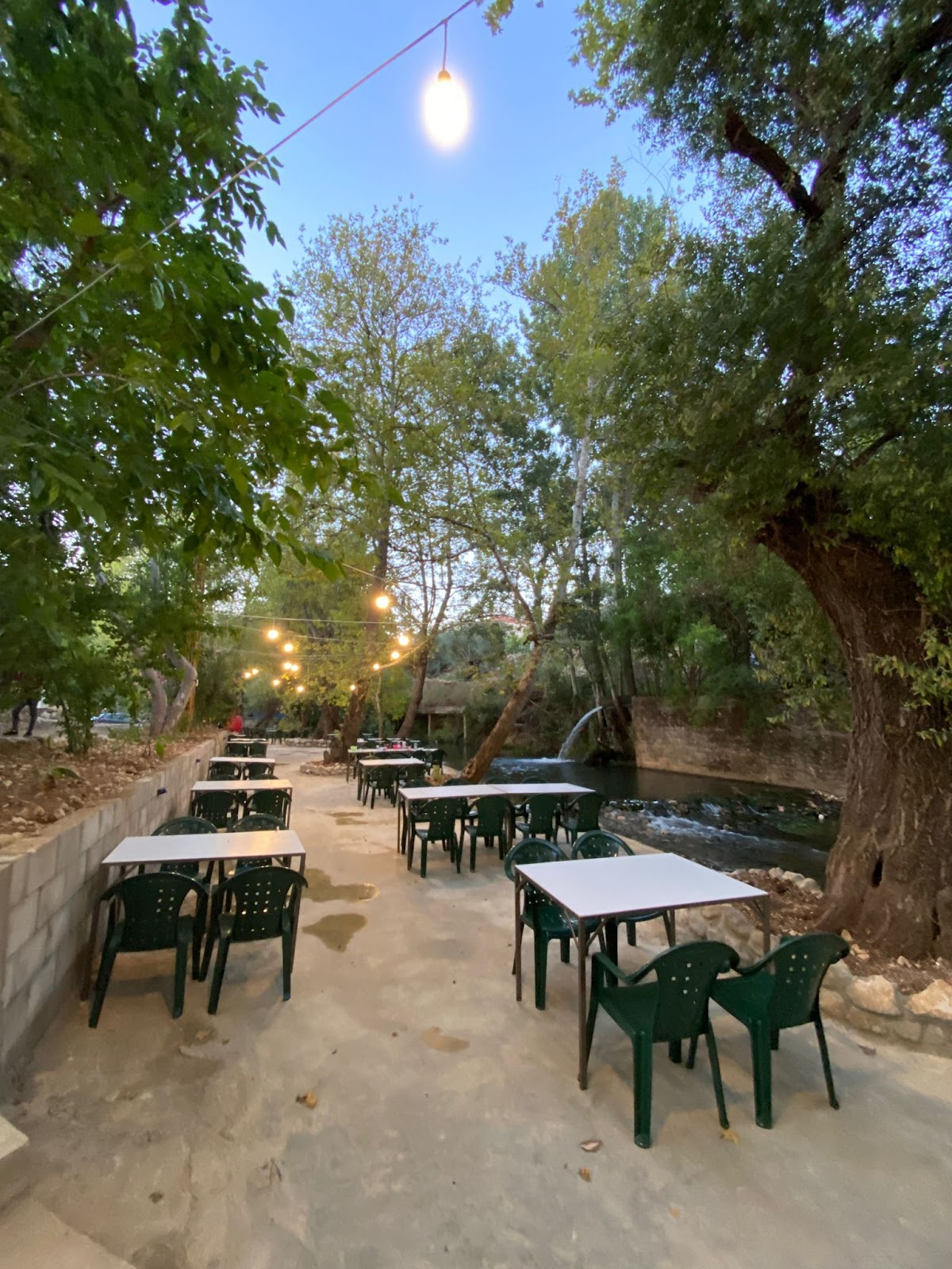 Al bayssana — photograph 2