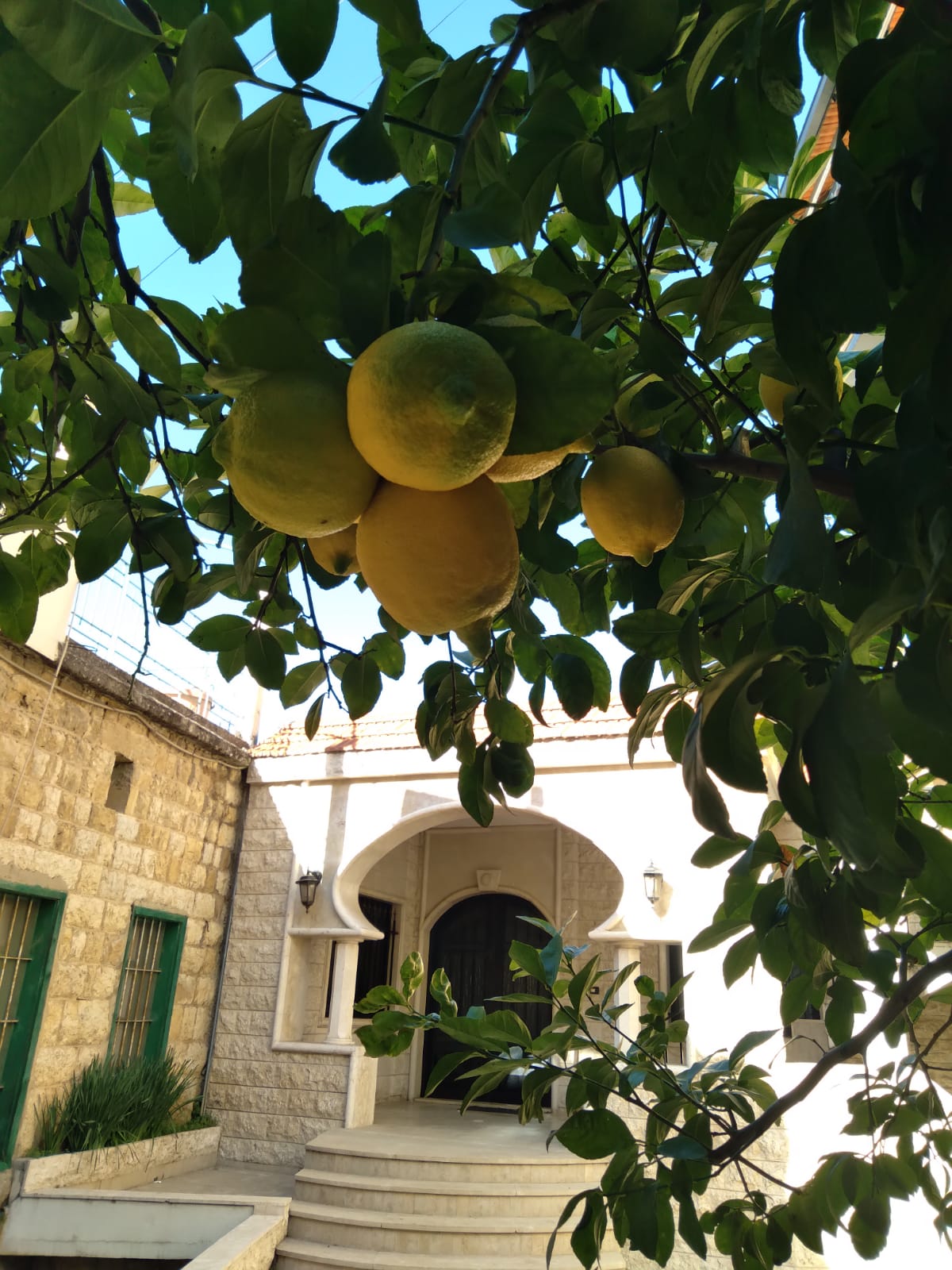Dar Mashaikh Al Qais — photograph 6