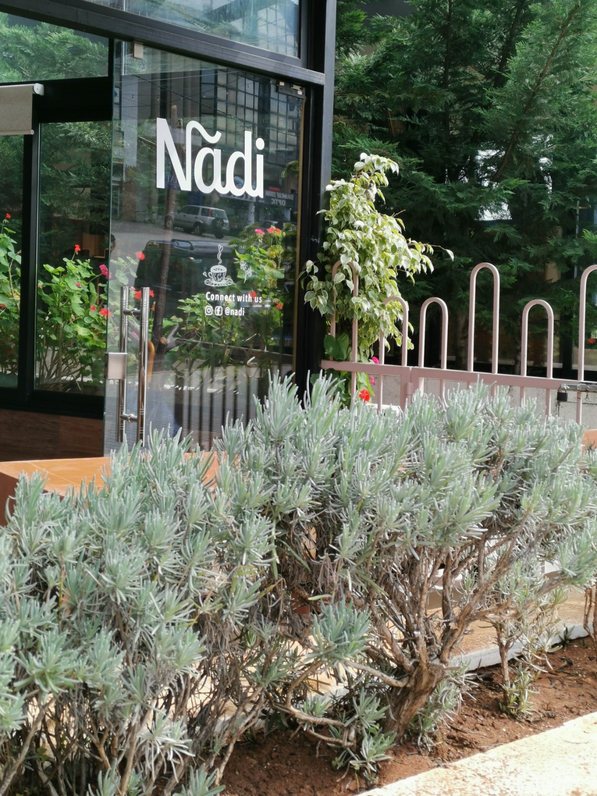 Nadi - Community Coffee Shop — photograph 4