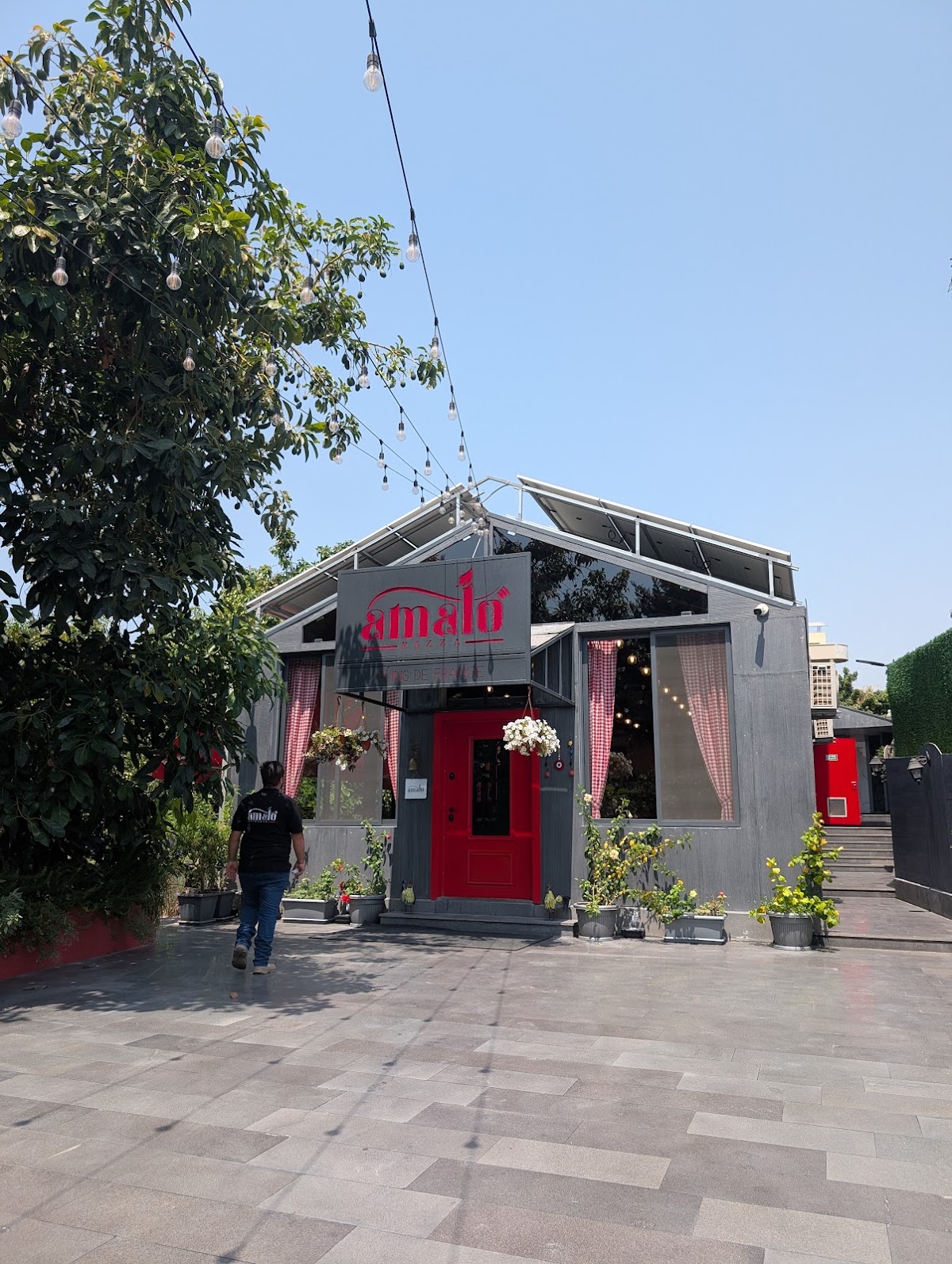 Amalo — photograph 6