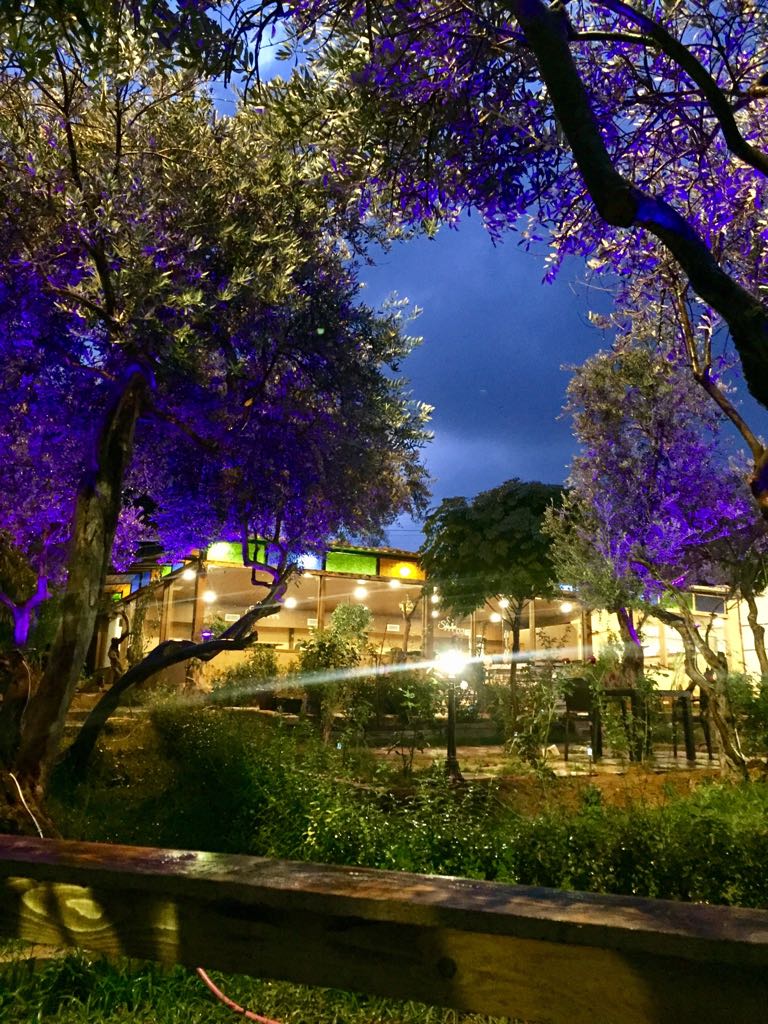 شيشة بالاس — photograph 4