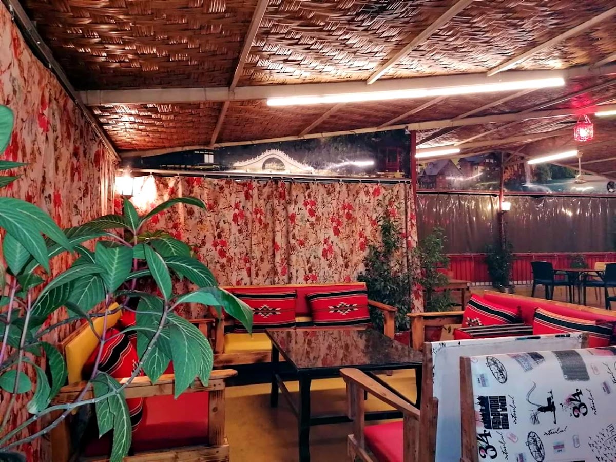 Cafe shisha lounge — photograph 3