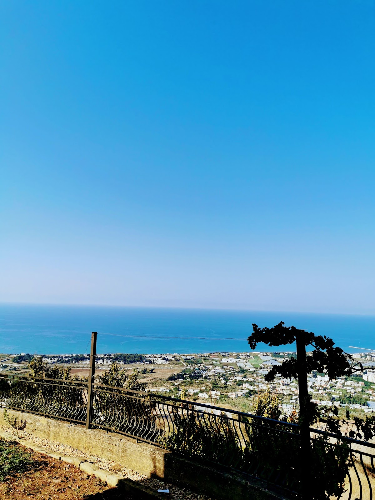 Daher Bakr ( Abou El 3abad ) — photograph 3