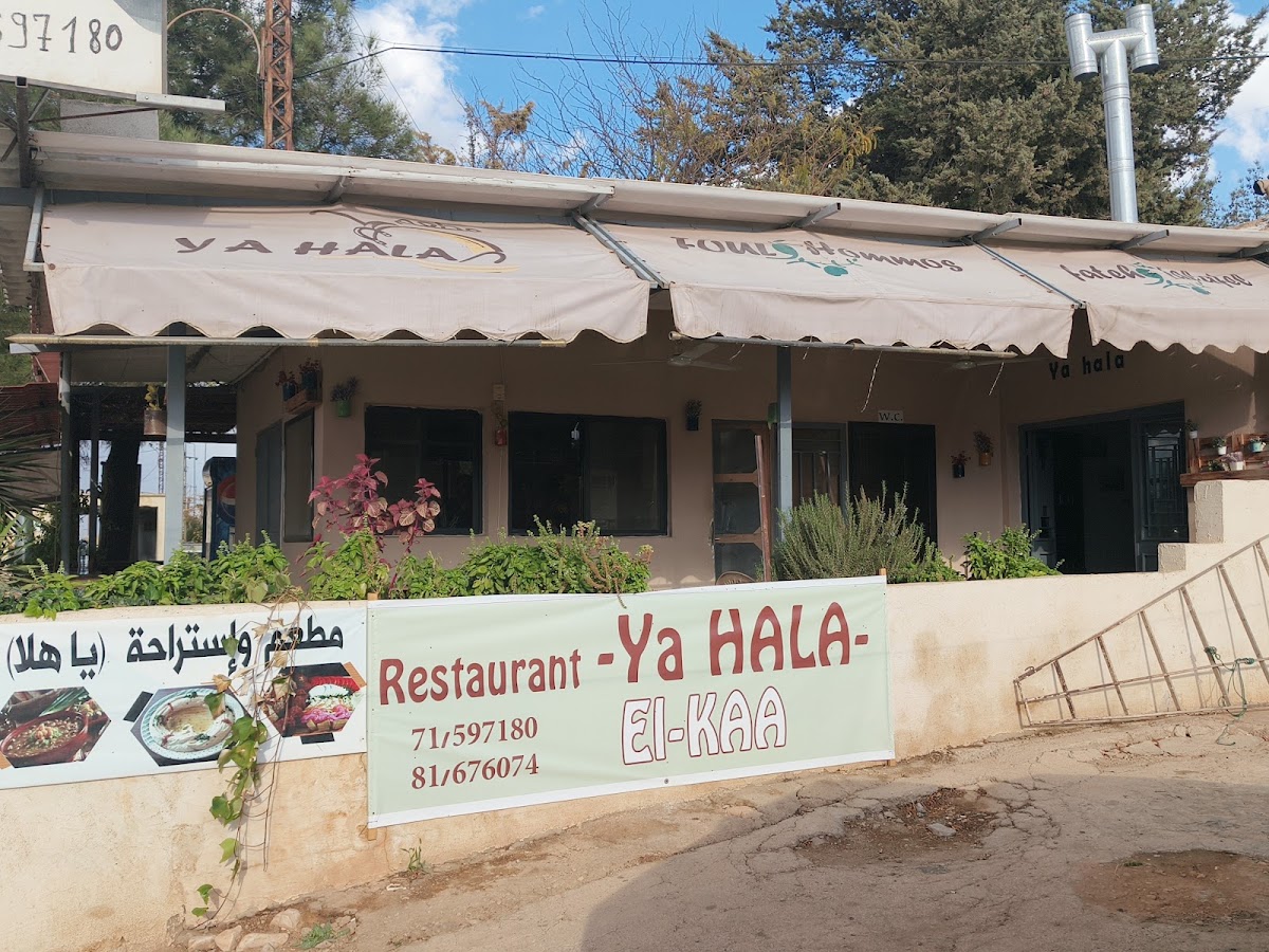 مطعم يا هلا — photograph 2