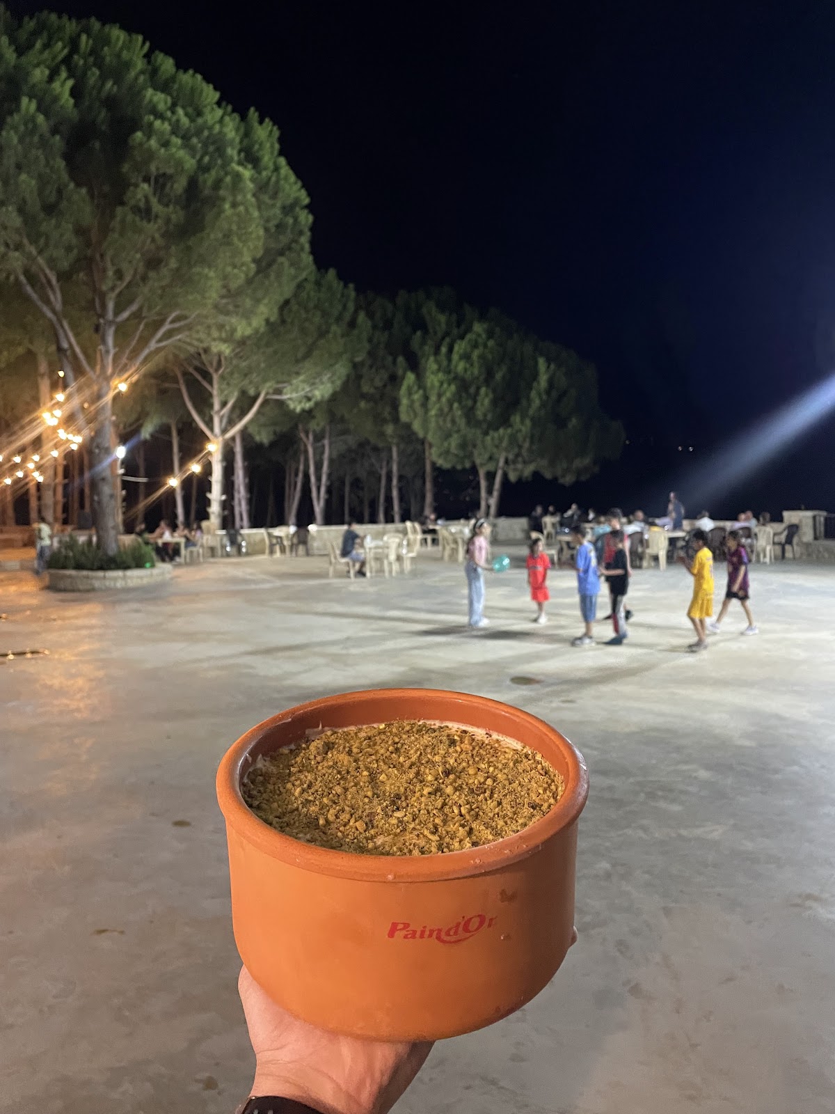 Qaraoun waves cafe — photograph 2