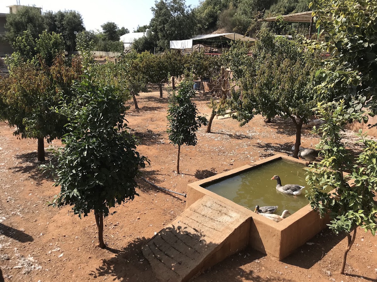 Jana Bio Farm — photograph 6