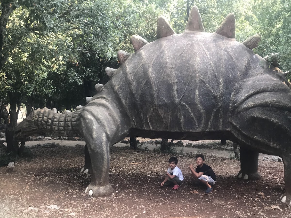 Dino City Prehistoric Park — photograph 4