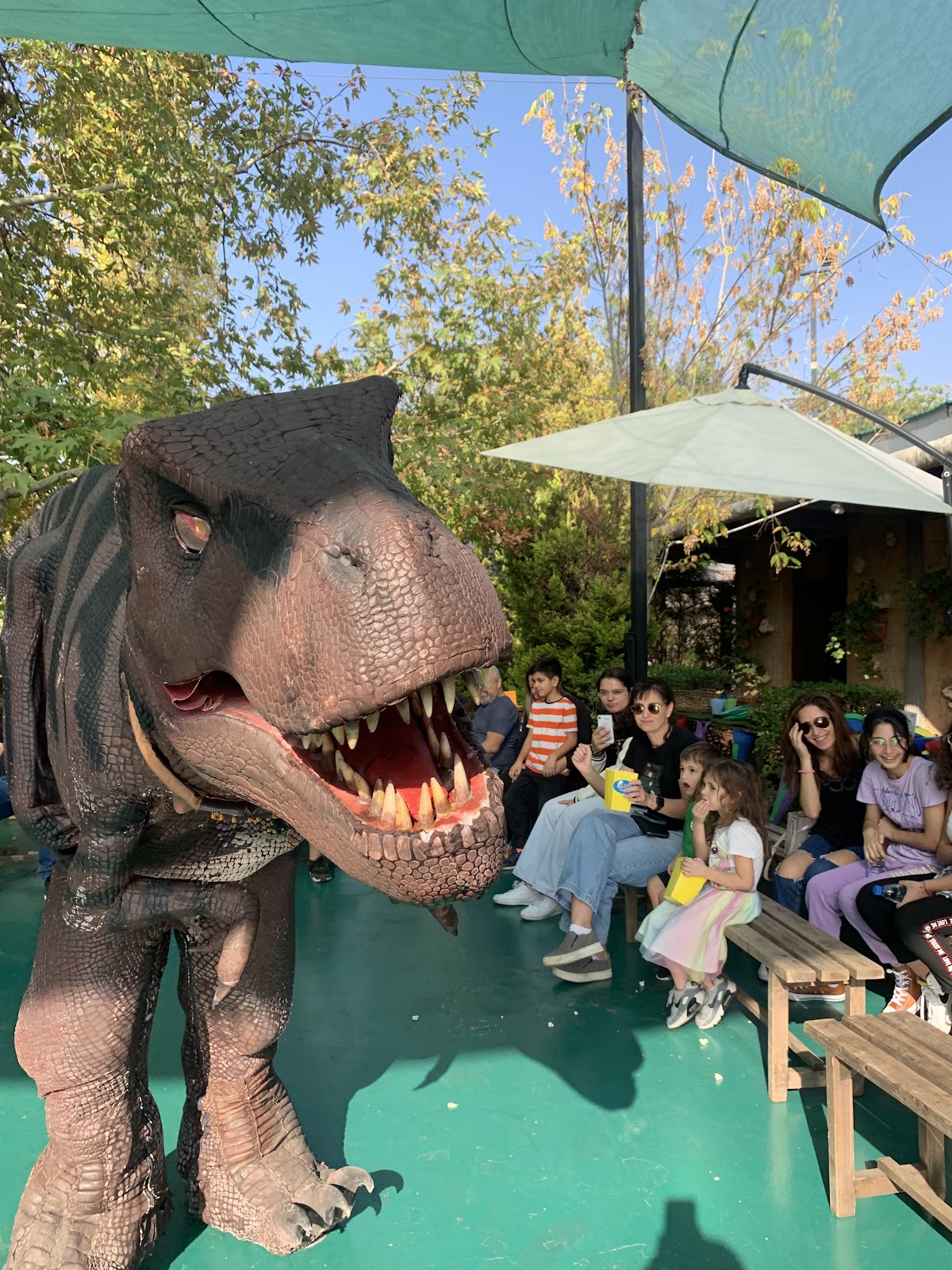 Dino City Prehistoric Park — photograph 6