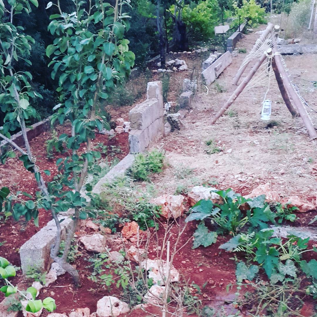 Khoury Garden