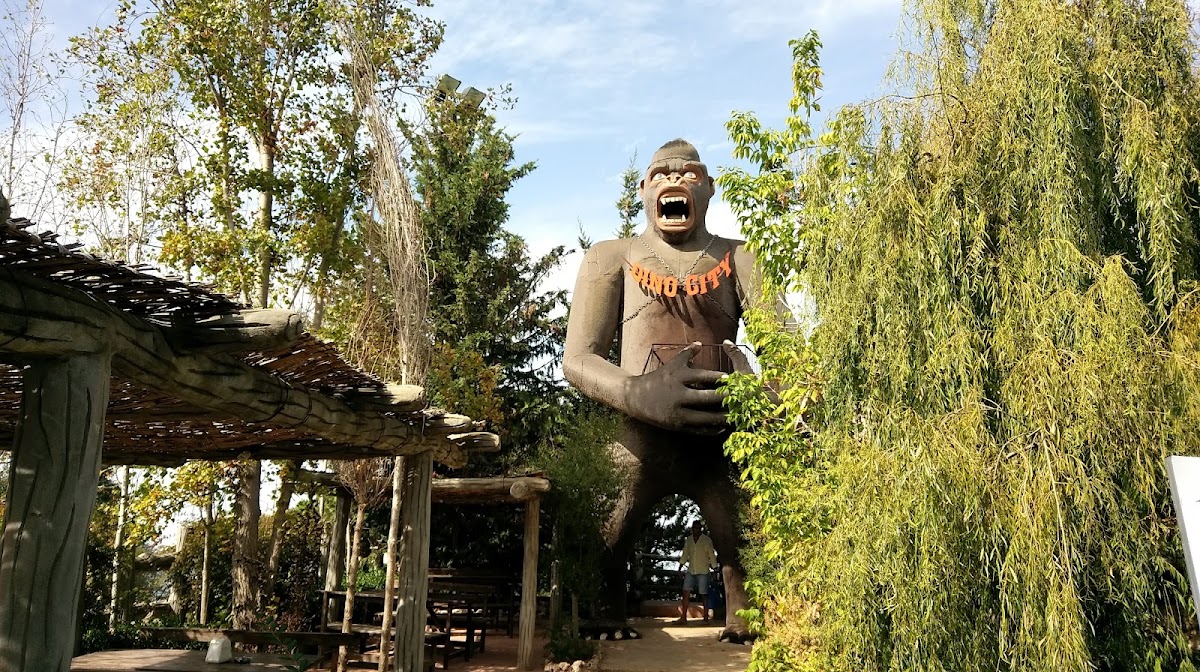 Sun City Resort — photograph 4