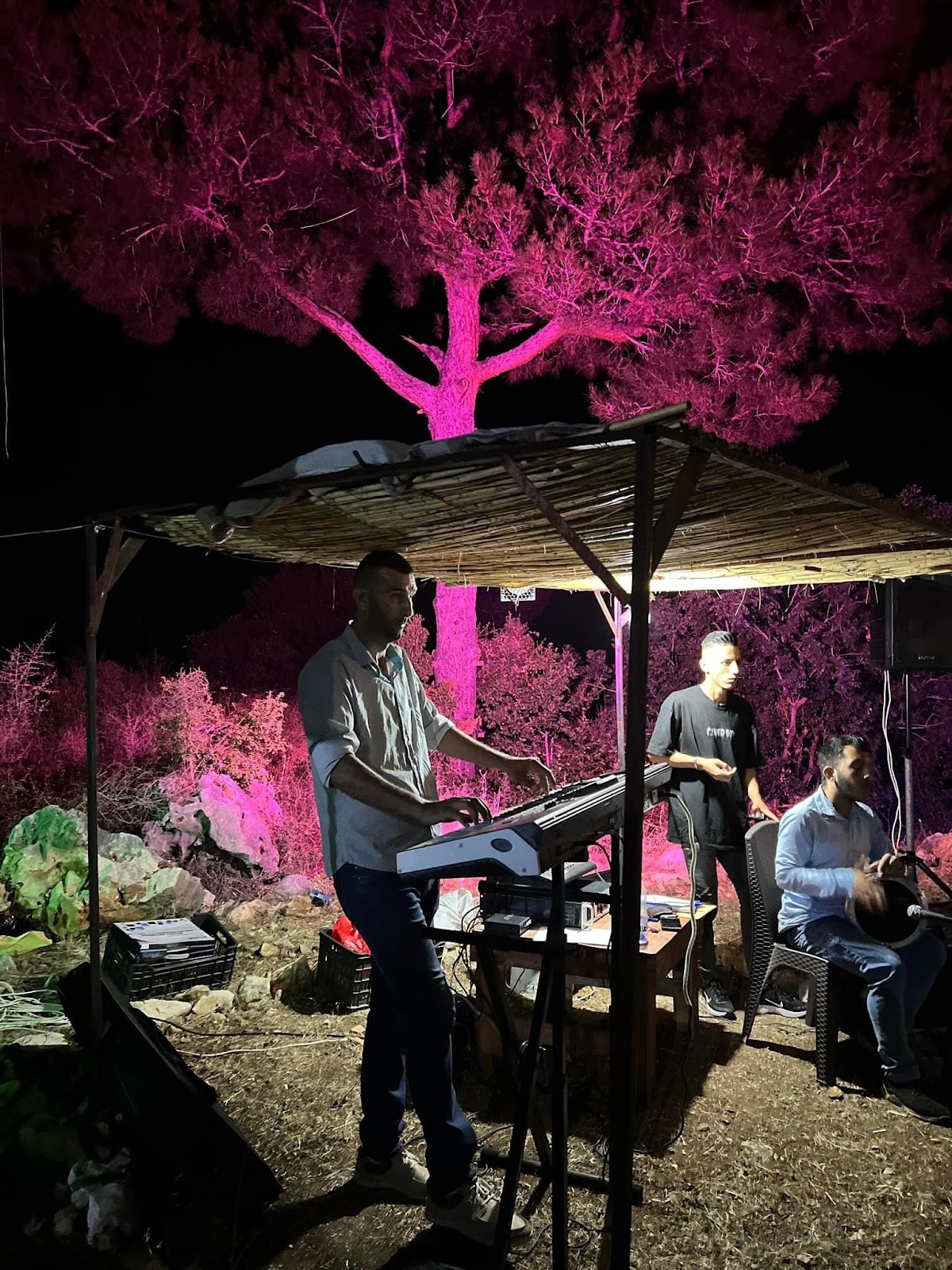 Istirahat Tabouneh Al Shammis — photograph 2
