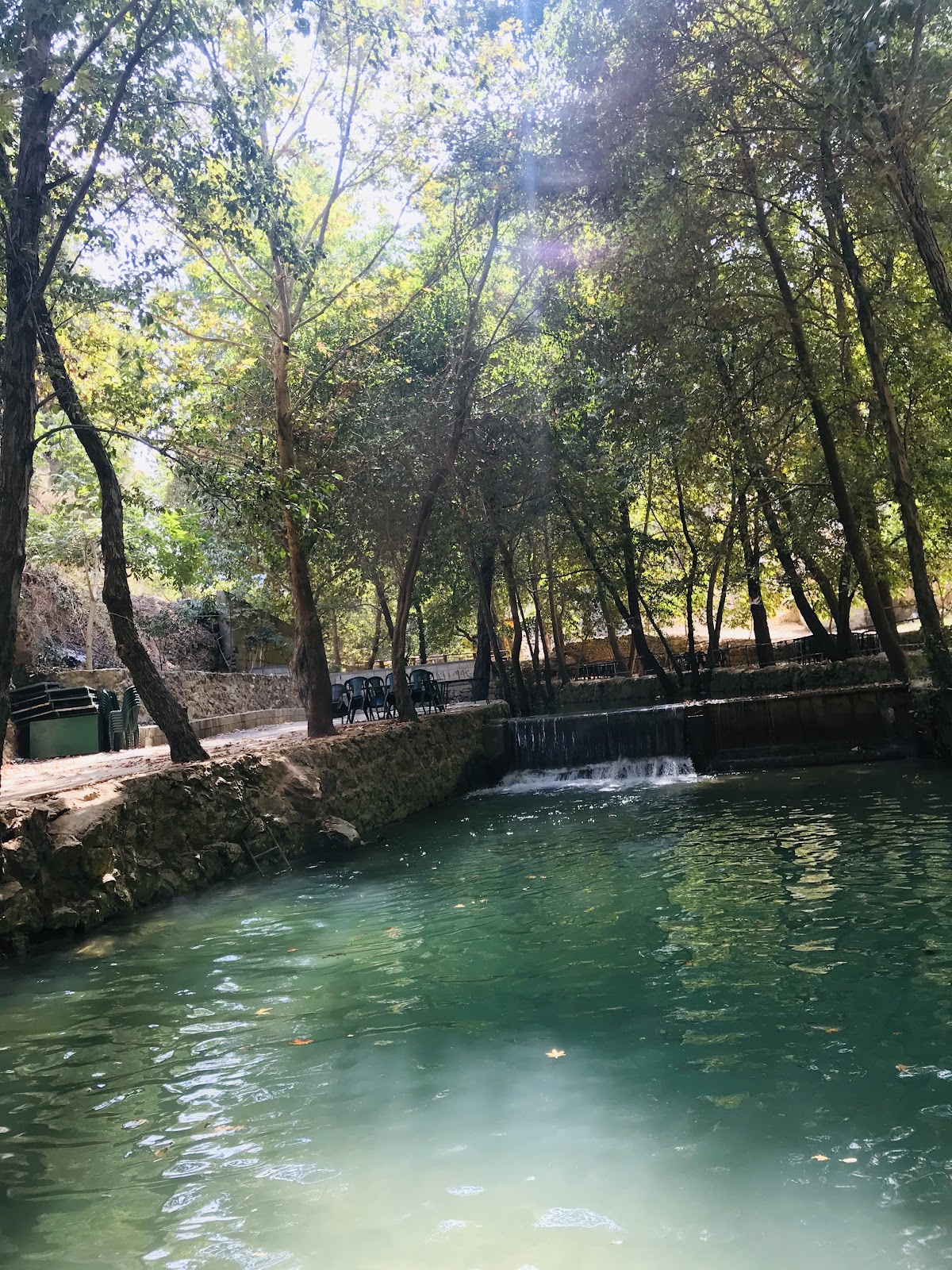 La Vista Picnic