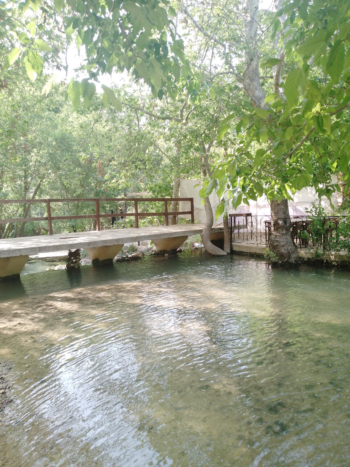 Saj el baraka — photograph 4