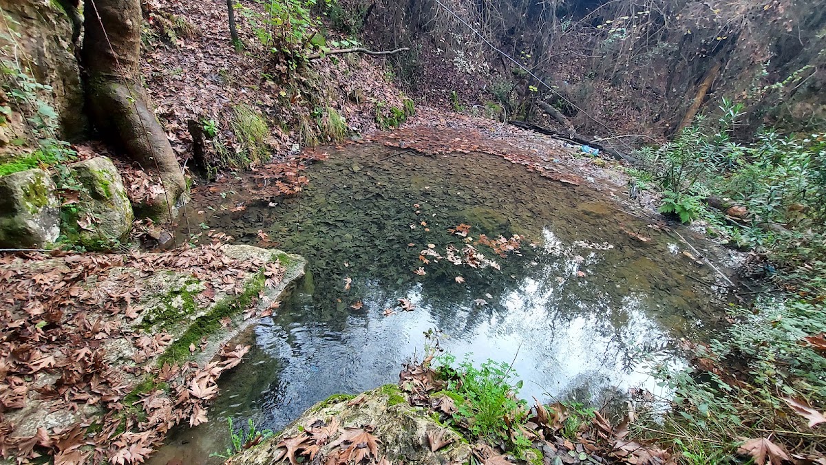 El dolob — photograph 2
