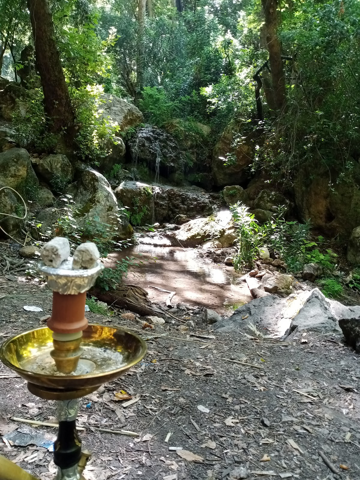 El dolob — photograph 3